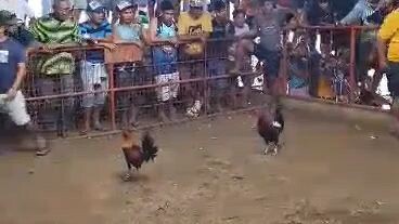 #okay lang kahit talo lumalaban hanggang kamatayan