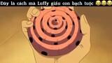 Đây là cách mà Luffy giấu con bạch tuộc #anime#edit#clip