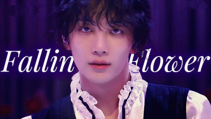SVT·4K สองภาษา «Fallin' Flower กลีบดอกไม้ที่ร่วงหล่น» ชั่วขณะอันแสนสั้นแห่งการร่วงโรยล้วนเพื่อได้พบก