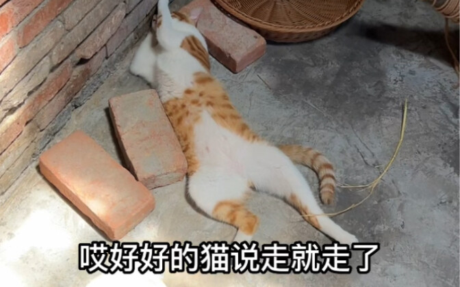 那就好好告个别吧