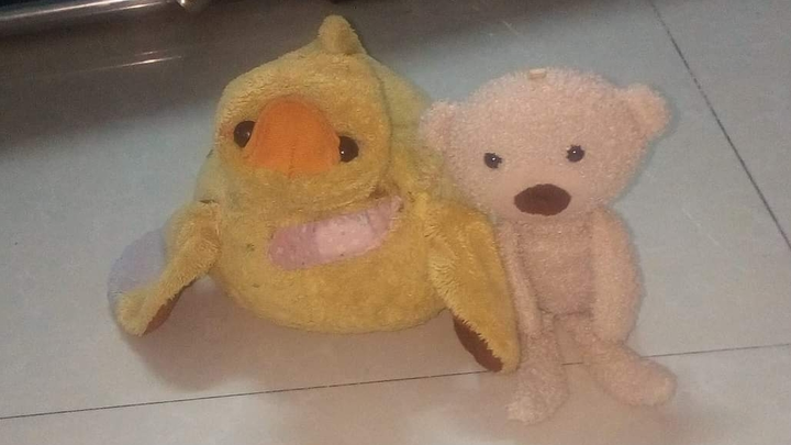 HÀI CỦA KITTY VÀ SURI