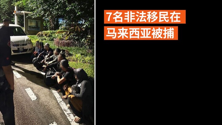 7名非法移民在马来西亚被捕