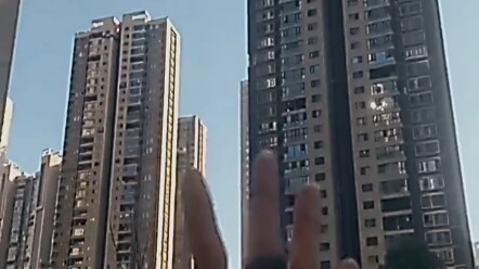 Con sóc bay giữa chừng bị đại bàng tóm gọn