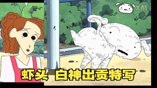 拉拉酱的妈妈在哪里，小白脏成小黑球了！蜡笔小新