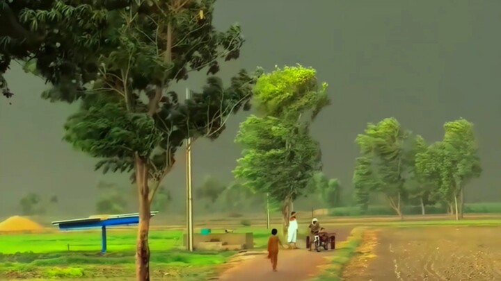 “Some people are just born to love this feeling.”