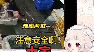 日本萝莉看《十年修的同船渡，百年修得神同步！》当场绷不住了！！！