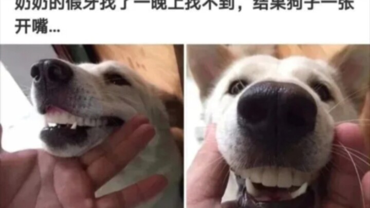 Those Internet Dumbass Genius Comments (17)