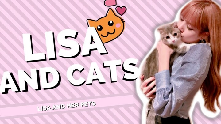 Cuộc sống hàng ngày của Lisa và chú mèo! Sa-hyung đam mê mèo! BLACKPINK