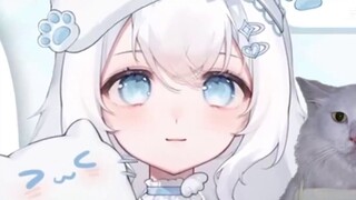 “She gave birth to all the cats in the community.”