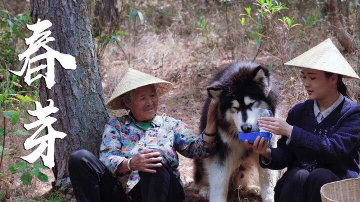 ความอร่อยที่ซ่อนอยู่ในฤดูใบไม้ผลิยูนนาน – ยอดเนื้อวัวรสขม