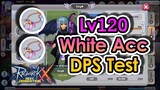 [ROX] Is It A Game Changer? Lv120 White DEX Accessories DPS Test | KingSpade