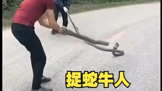 Orang ini sangat kejam saat menangkap ular!