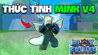 Roblox - Cách THỨC TỈNH TỘC MINK V4 Trong Blox Fruits