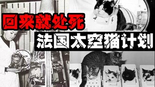 [Spaceflight Dark History] The Forgotten Secret of the Chosen Cat