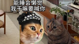 当你的父母很开明，你的过年将是满级体验