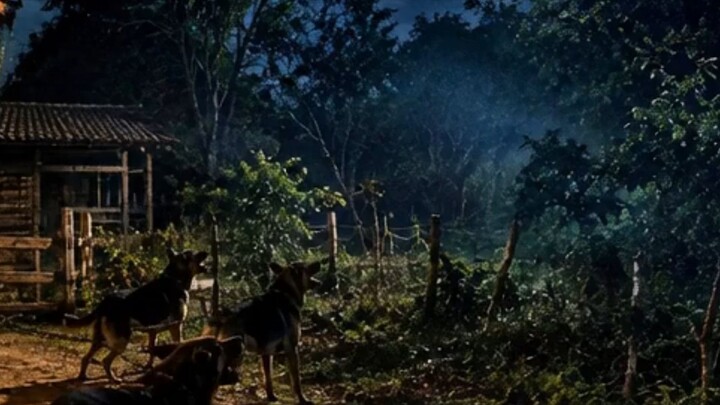 MANTINHA CÃES BRAVOS NA FAZENDA PRA ENFRENTAR CRIATURA