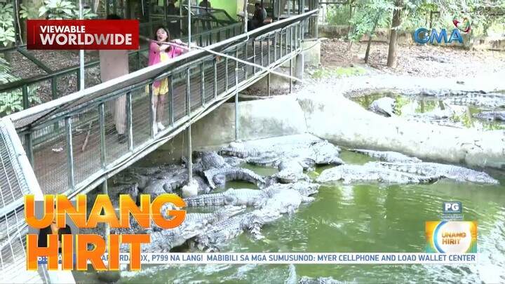Close encounter with Crocodiles and Lions sa Subic | Unang Hirit