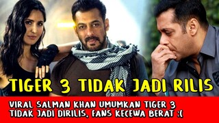 Heboh! Aktor Salman Khan Umumkan Tiger 3 Tidak Jadi Rilis, Penggemar Kecewa Berat