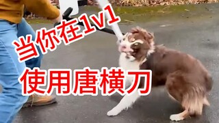 你 听 说 过 疯 狗 流 刀 法 吗 ？