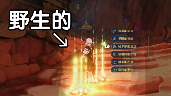 กลุ่มสันดานศักดิ์สิทธิ์ 5 ดาวในป่า!? “เก็นชินอิมแพกต์”