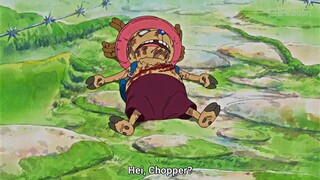 Berani nyakitin Chopper berurusan sama ayah Zoro!