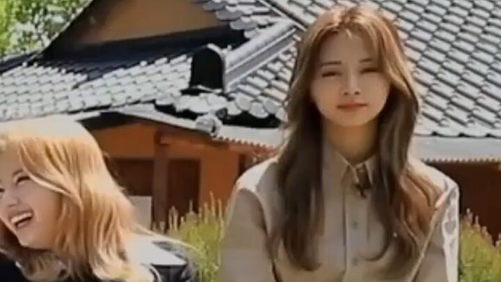 【زي يو】هذا العالم صاخب جدًا—