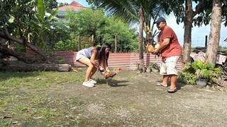 4  vs  3