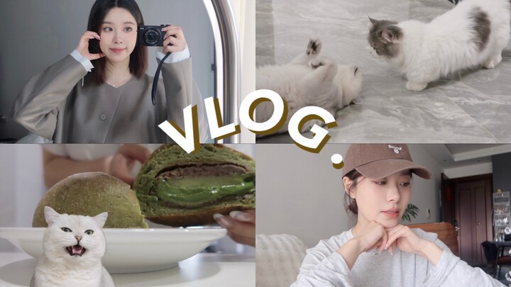 VLOG Late March Days | So Happy Staying Home 🥣 Little Mei’s Kitchen Is Open | Cycling with Friends 🚲