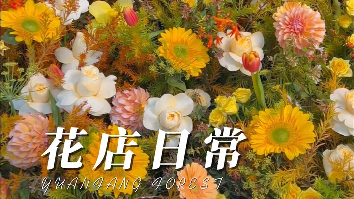 Healer's Flower Shop: Trunk Floristry