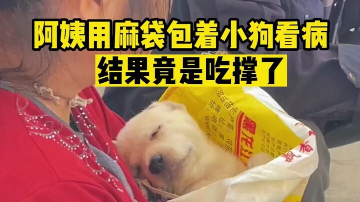 It turns out that sick puppies don’t have to be abandoned.