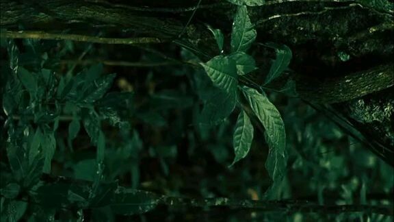 filem pendek horor terbaru