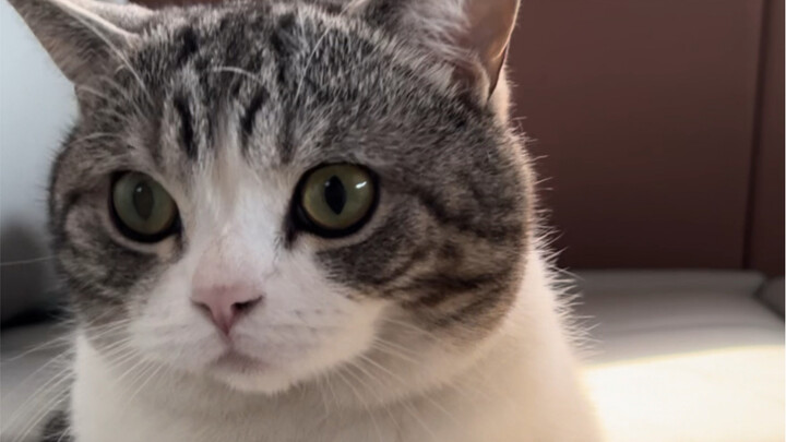 Made spicy crawfish today and totally cheered Mom up! We were almost done when she suddenly asked ho