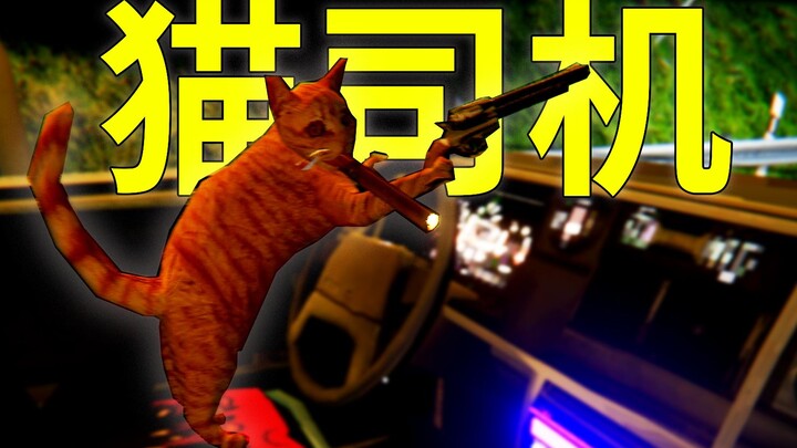 You're awake? Kitty's taking you for a ride!