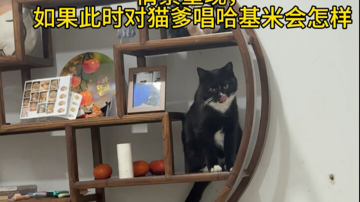 Please let the deity possess you.