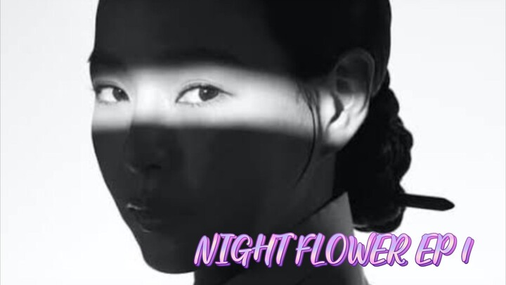 Night flowers ep 1 eng sub 2024