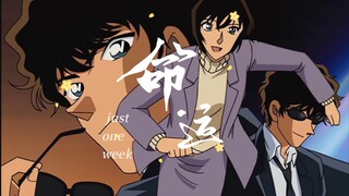 【be美学｜松田阵平&佐藤美和子】一周后他说“其实我挺喜欢你的”