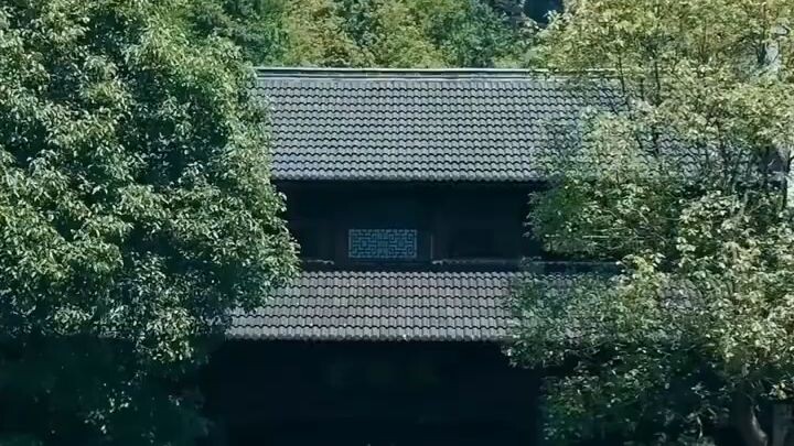[สายดีดซีรี่ย์]-(เต็มเรื่อง)ชายหนุ่มถูกบังคับให้ฝึกลัทธิเต๋า แต่กลับกลายเป็นอัจฉริยะ