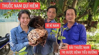 Cây thuốc nam quí hiếm và những bài thuốc nam trị được bệnh tiểu đường và những bệnh hiểm nghèo khác