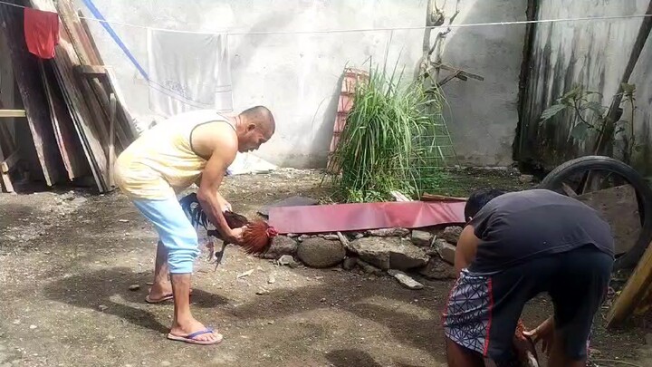 Roundhead x Gilmore left side update ng buyer di napalaban bigla naglugon.