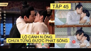 CẨM TÂM TỰA NGỌC: LỘ CẢNH N.ÓNG CHƯA ĐƯỢC PHÁT SÓNG CỦA CHUNG HÁN LƯƠNG ĐÀM TÙNG VẬN,