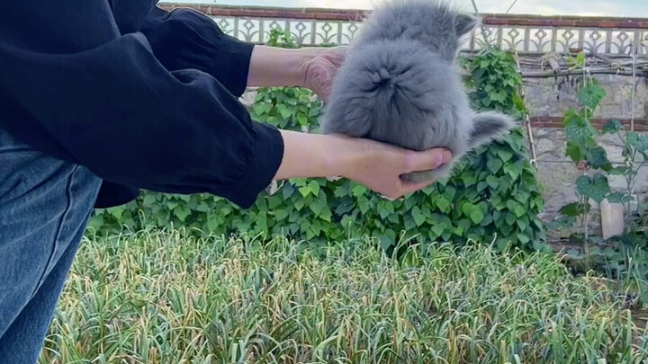 “Lift the cat”—just swap to a different cat, and it’s lifted, right? You’ve got to be flexible in li