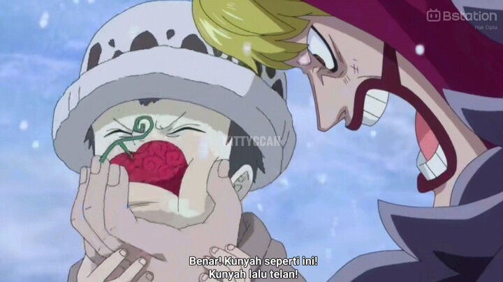 Inilah Buah Iblis Yang Dimakan Trafalgar Law😱