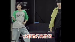女团舞扛把子？tf家族四代小练习生在一个物料里偷偷跳了多少大热女团舞？wadada/knock/left right/tail