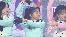 [예능연구소 4K] 트와이스 채영 직캠 'SCIENTIST' (TWICE CHAEYOUNG FanCam) @Show!MusicCore 211113