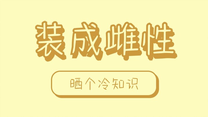Trước tiên giả làm con cái để qua mặt con đực, sau đó mới có thể truyền lại nòi giống.