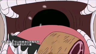 【这个果实太逆天了，还能组合，这个能力能吃下无上大快刀】