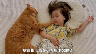 当小主人睡醒了，不想起床的大橘猫三番五次拒绝小主人