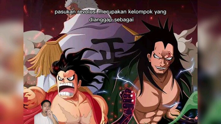 Alasan Kemunculan Pasukan Revolusi di Onepiece