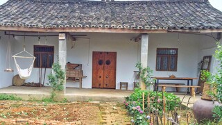 Cải tạo sân