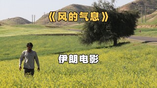 风带着希望和爱吹拂着这片山村，伊朗高分治愈电影《风的气息》